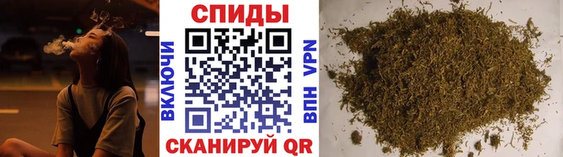 блэк спрут маркетплейс Шлиссельбург Бутират оксана
