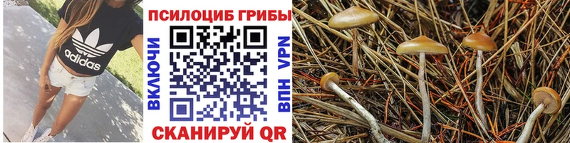 Галлюциногенные грибы ЛСД  Шлиссельбург 